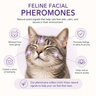Facial Pheromone Signal