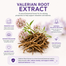 Natural Valerian Extract