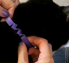 Fit the Collar On Your Cat