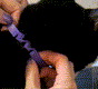 Fit the Collar